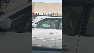 車にいたワンコに挨拶してみた #イヌ #犬ミーム #大型犬 #shorts