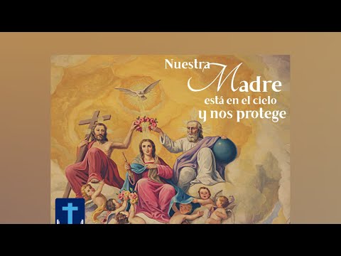 Video: Cuando La Asunción De La Santísima Virgen María En 2020
