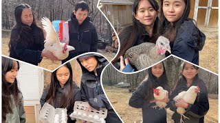 Janet and Kate Take Care of Grandma's Chickens!
