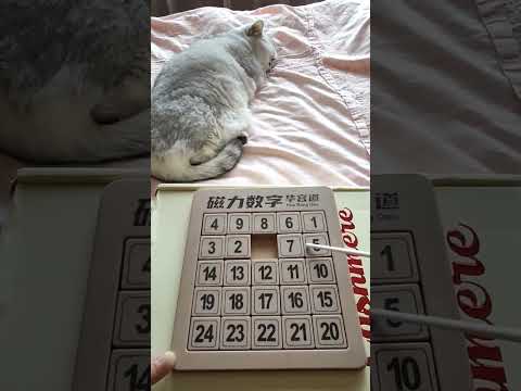 Numbers Puzzle Blocks Game