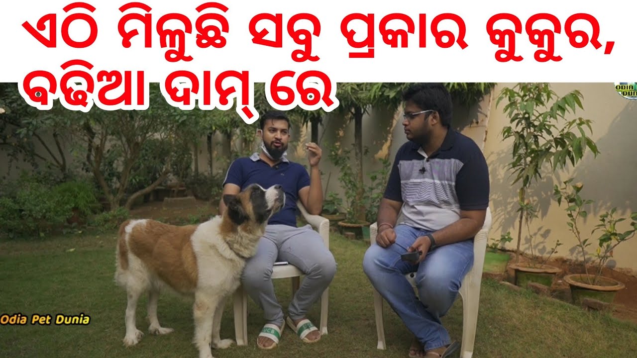 All types of dogs, foods available in Blicks Kennel Bhubaneswar