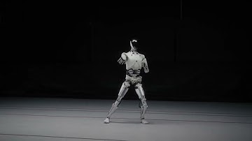 Meet IRON, the Robot Kung Fu Master