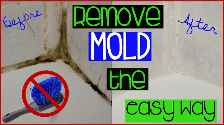 HOW TO CLEAN GROUT THE EASY WAY || Shirlee Alicia