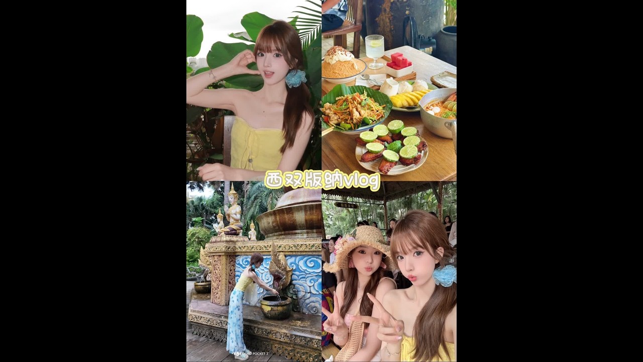 西双版纳vlog～春武里/曼听公园/星光夜市 #vlog #旅行vlog #我的五一假期vlog #西双版纳 #西双版纳旅游