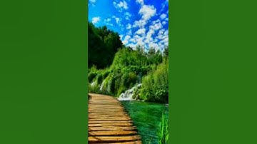 أجمل تلاوة للشيخ ياسر الدوسري سورة القصص