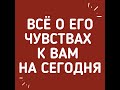 ВСЁ О ЕГО ЧУВСТВАХ К ВАМ НА СЕГОДНЯ. Гадание онлайн на картах Таро