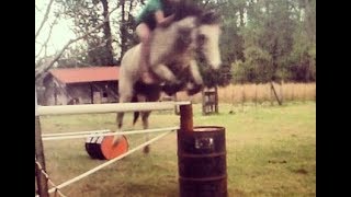 Jumping 4ft BAREBACK