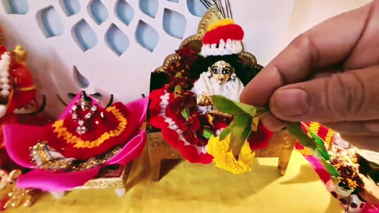 পৌষ  সংক্রান্তির  দিন  কিভাবে  গোপালের 🙏♥️🙏 সেবা  করবো ||Animar Blogs 