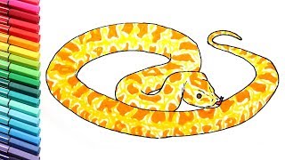 Snake Coloring Pages For Kids - Drawing and Learning Colors With Wild Animals Snake