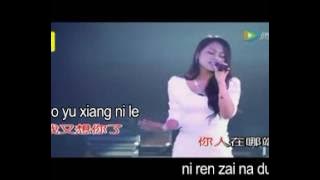Mei you ni pei ban zhen hao gu tan live KTV new meng ran w pinyin mpeg1video x264