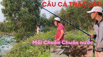 #4 | Thư giãn mùa hè | "Độc chiêu" câu cá thác lác bằng mồi chuồn chuồn nước Phú Quốc