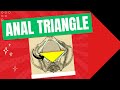 Anal triangle
