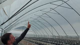 видео: Производство ягодных туннелей от компании  картинка: Производство ягодных туннелей от компании