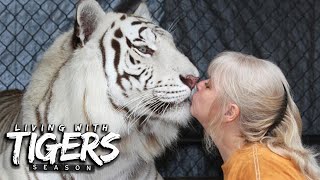 : There's A Tiger In My Garden! | LIVING WITH TIGERS SEASON