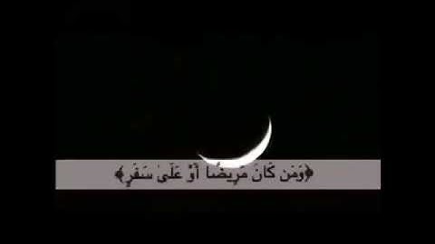 قرآن كريم بصوت القارئ: ماهر المعيقلي || أجمل حالات واتس اب دينيه || تلاوة خاشعة HD🍀🍃