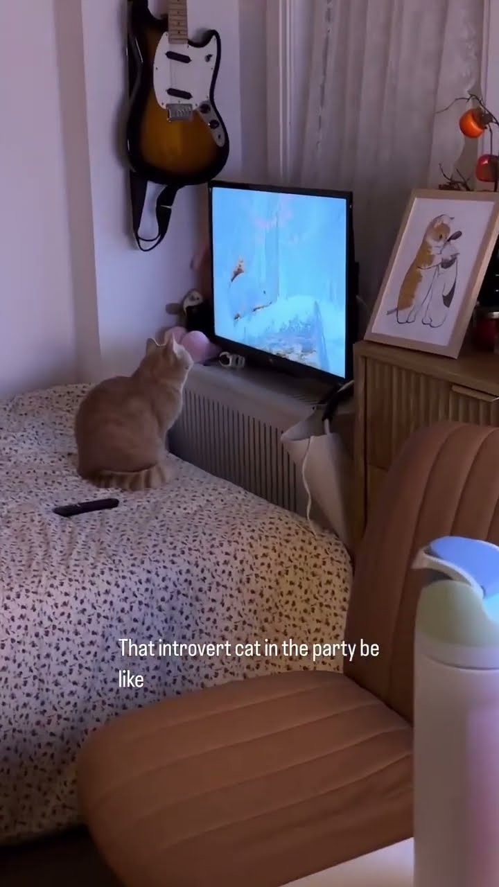 When you introverted but you can’t admit it with prvnci