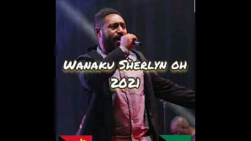 WANAKU SHERLYN - McDonald Taylor ft Meri Enga [2021] PNG Music 🎶