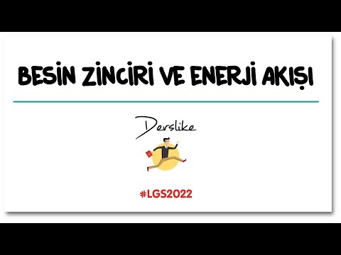 Video: Biyolojide biyobirikim nedir?