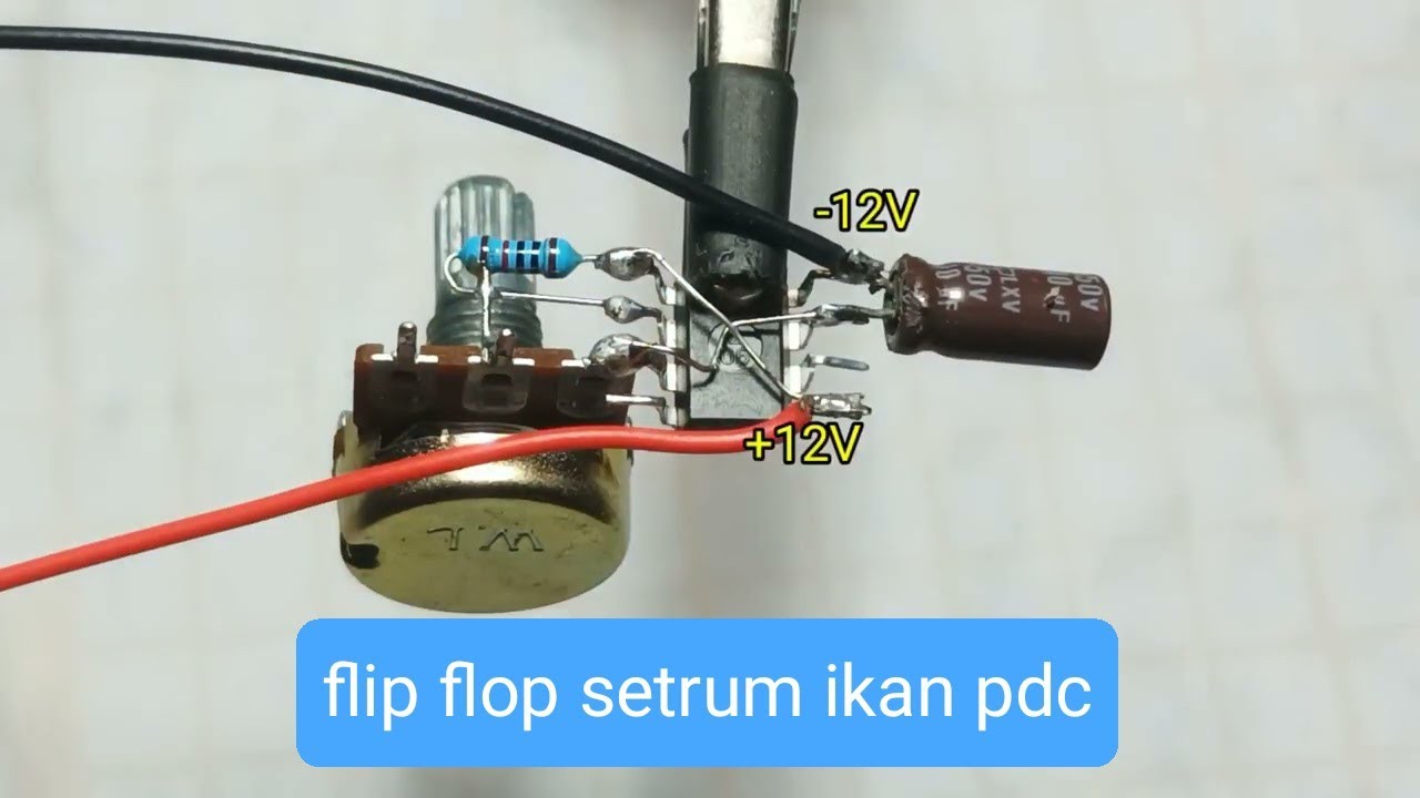 flip flop ic ne555 untuk setrum ikan pdc