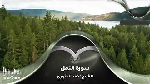 سورة النمل للشيخ : حمد الدغريري