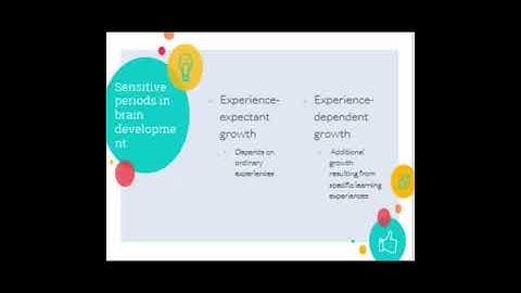 3 3 Sensitive Periods in Brain Development Video