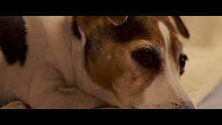 Testing Canon 6D Magic Lantern 14-bit RAW on 536p 2.39:1