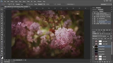 Using Love that Shot Photo Veils & Veil Infusion Actions in Photoshop