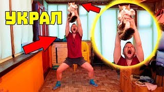 Я УКРАЛ СВОЮ ПЕРВУЮ КОШКУ И ЭТО НЕ ПРАНК / ЧТО ОНА СКАЗАЛА ПРО ЭКСПЕРТА Я УКРАЛ СВОЮ ПЕРВУЮ КОШКУ И ЭТО НЕ ПРАНК / ЧТО ОНА СКАЗАЛА ПРО ЭКСПЕРТА