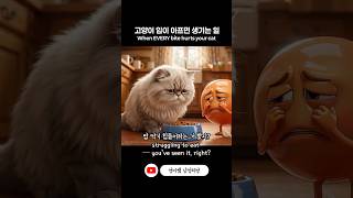 고양이 입이 아프면 생기는 일 | When every bite hurts your cat 🥹 | 고양이 구내염(Feline Stomatitis) #고양이 #수의사 #구내염