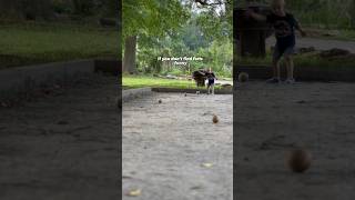 If You Dont Find Farts Funny