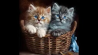 😺 Kittens are my love! 🐈 Funny and cute video with kittens! 😸