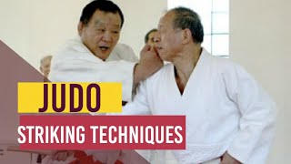 Judos Striking Techniques Atemi Waza 当身, あてみ