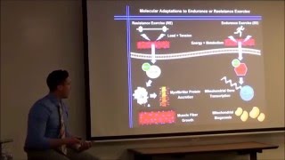 Concurrent Exercise Training (MPLS 2016): Dr. Kevin Murach