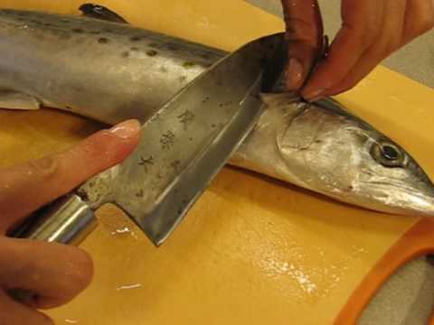 Misa S Japanese Cooking How To Filet A Fish Spanish Mackerel Ny Page-11-08-2015