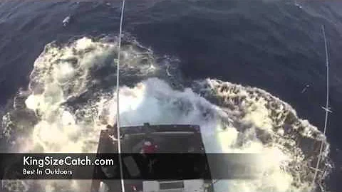 Crew Lands 600lb Black Marlin In Boat and live to tell about it!