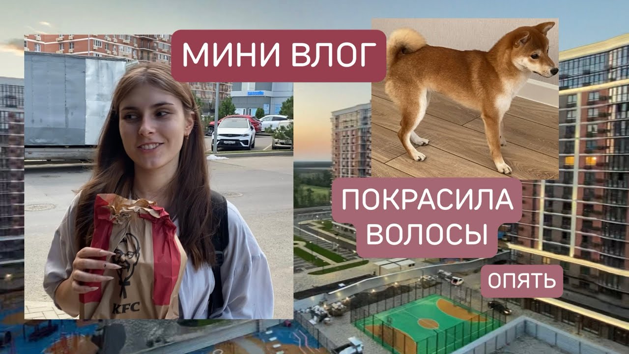 покрасила волосы | мини влог