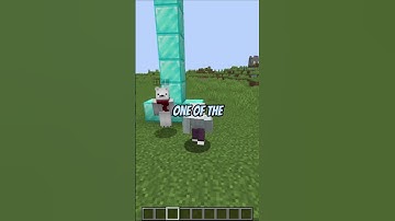 One of the BEST mouse to drag click with in Minecraft #minecraft #minecraftshorts #shorts