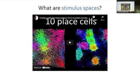 Tracking Topological Features Across Neural Stimulus Spaces – Chad Giusti