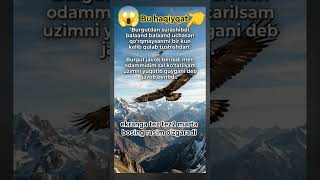 #music #beats #dance #newmusic #instrumental #global #funny #qashqirlarmakonipistirma #comedy