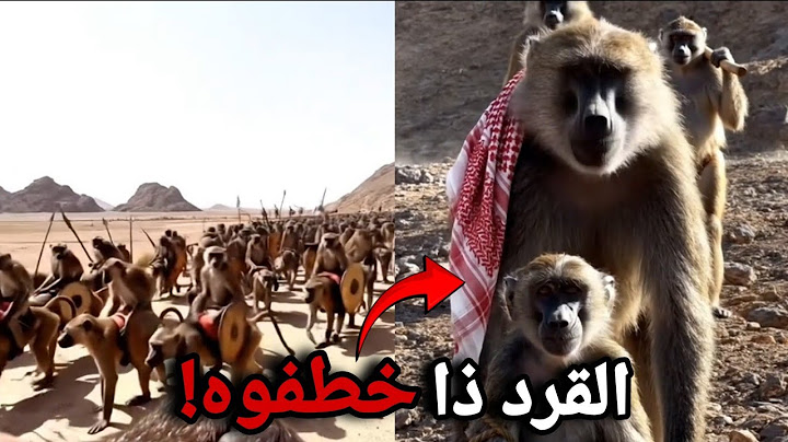 ولعت ! قرود أبها Vs قرود الطائف !