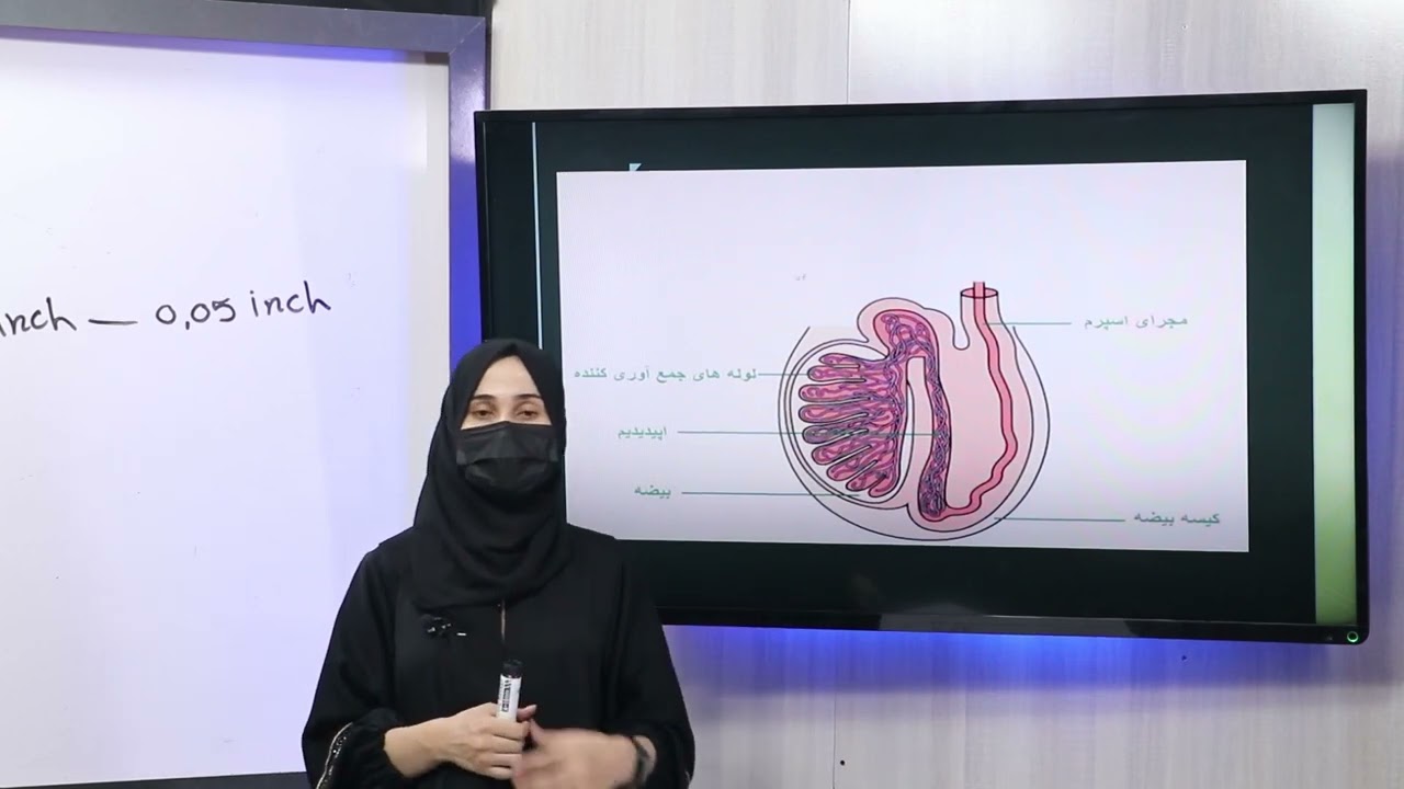 51 دولسم ټولګی  د بیولوژی مضمون د بالغ یا رسیدلي سپرم جوړښت منی د سپرم لیږد