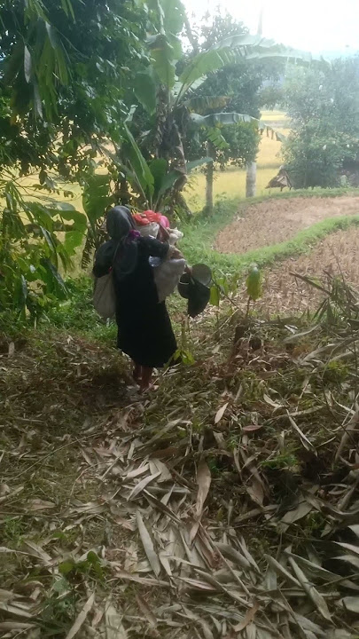 ketika santriwati pulang dari kebun