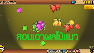 วิธีหา cat fruit เป็นการทำให้แมวที่ไม่ใช่แมว Normal กลายเป็น level 30 ใน the battle cat screenshot 5