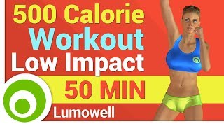 500 Calorie Workout Low Impact screenshot 4