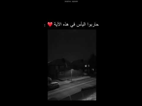 حاربوا اليأس في هذه الايه حالات واتس اب قران بصوت القارئ رعد الكردي