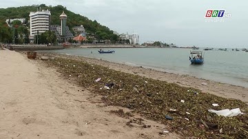 Dọn rác biển Vũng Tàu | BRTgo