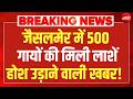 Rajasthan में मिला 500 गायों का शव LIVE : Jaisalmer | Cow Dead Found | Viral Video | Bakrid | NDTV