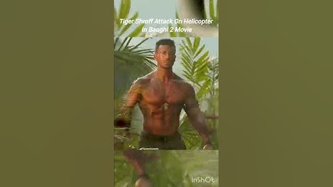 Tiger #shop# movie# short #clip# YouTube #vira#l  for you #video  action# quantum  theatre virus#