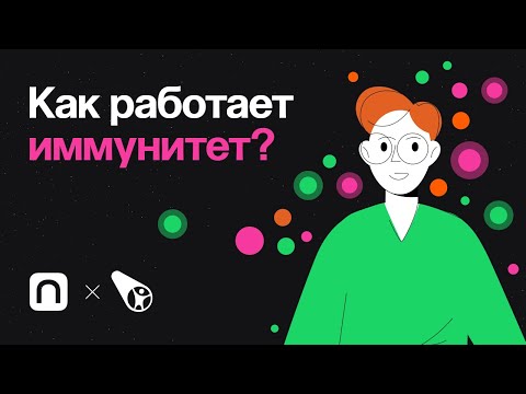 Как работает иммунитет?