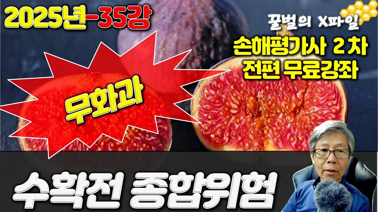 2025년 손해평가사 35강, 수확전종합위험보장 무화과, 손해평가사 2차시험 전과목 무료강의